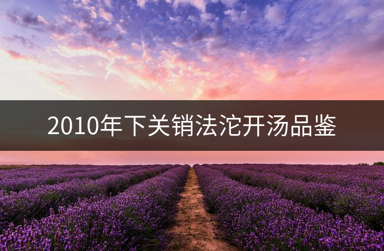 2010年下關銷法沱開湯品鑒 2010年下關銷法沱開湯品鑒
