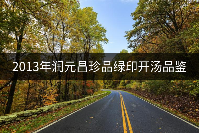 2013年潤元昌珍品綠印開湯品鑒