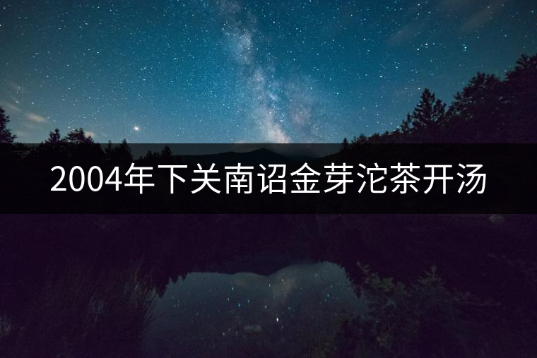 2004年下關(guān)南詔金芽沱茶開(kāi)湯