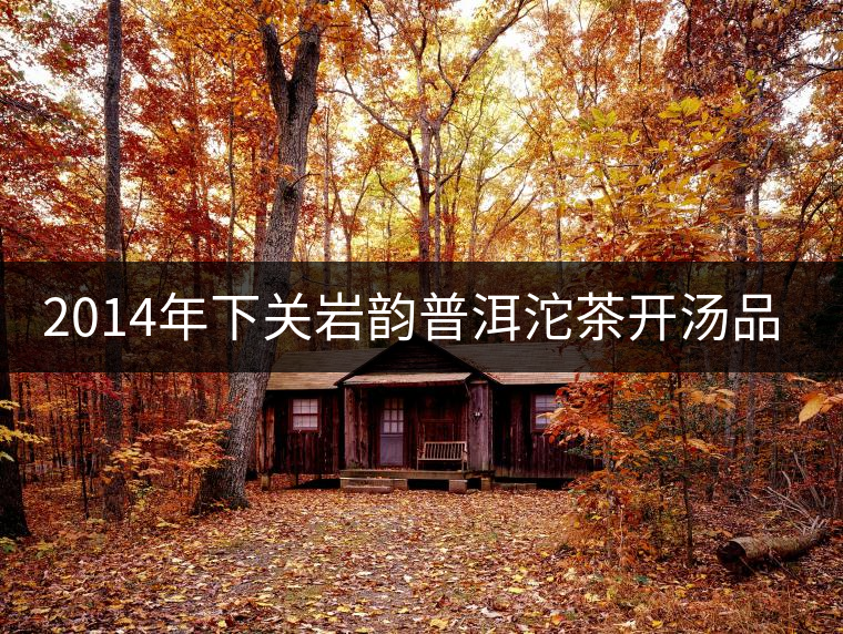 2014年下關(guān)巖韻普洱沱茶開(kāi)湯品鑒 2014年下關(guān)巖韻普洱沱茶開(kāi)湯品鑒