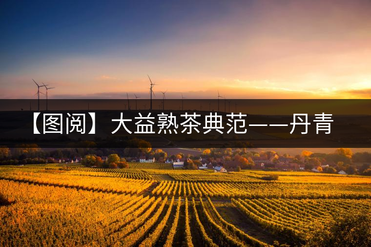 【圖閱】大益熟茶典范——丹青開(kāi)湯