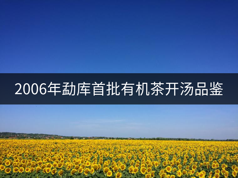 2006年勐庫首批有機(jī)茶開湯品鑒