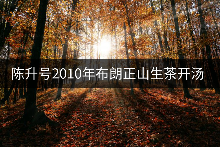 陳升號2010年布朗正山生茶開湯品鑒 陳升號2010年布朗正山生茶開湯品鑒