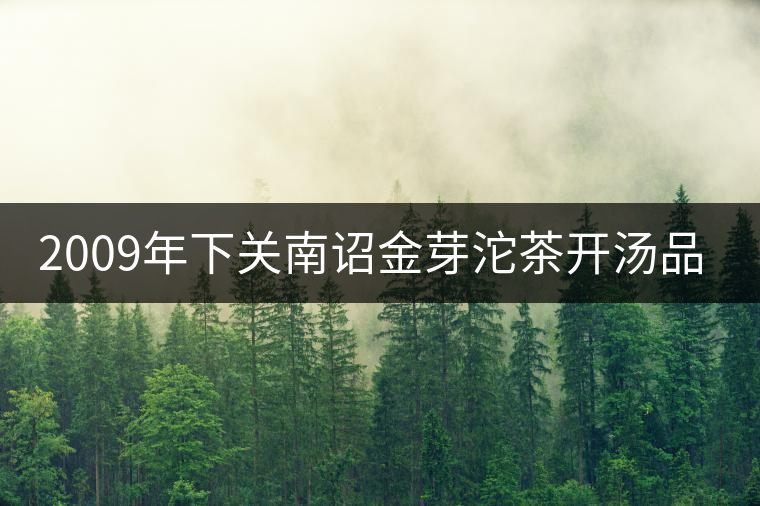 2009年下關(guān)南詔金芽沱茶開(kāi)湯品鑒