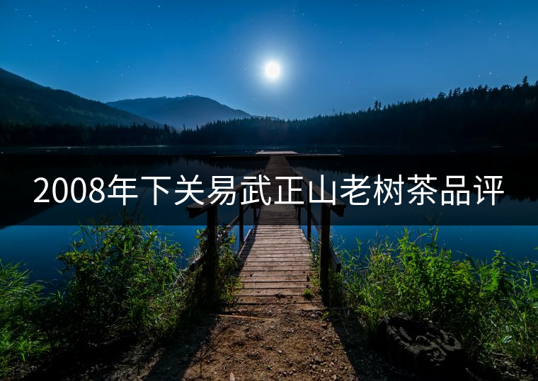 2008年下關(guān)易武正山老樹(shù)茶品評(píng)