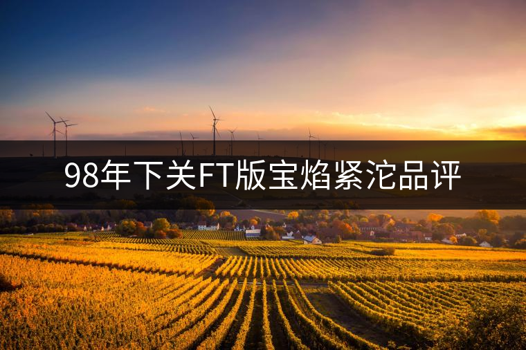 98年下關(guān)FT版寶焰緊沱品評(píng)