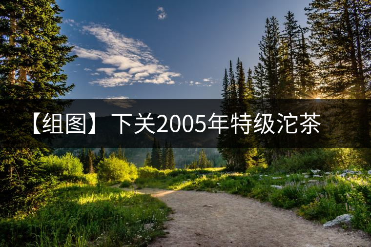 【組圖】下關(guān)2005年特級沱茶開湯