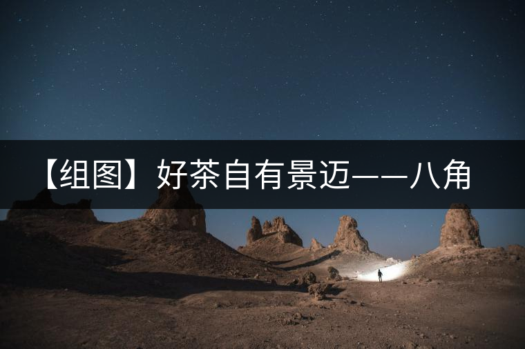 【組圖】好茶自有景邁——八角亭大典景邁開湯 【組圖】好茶自有景邁——八角亭大典景邁開湯