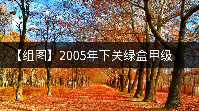 【組圖】2005年下關(guān)綠盒甲級(jí)沱開(kāi)湯