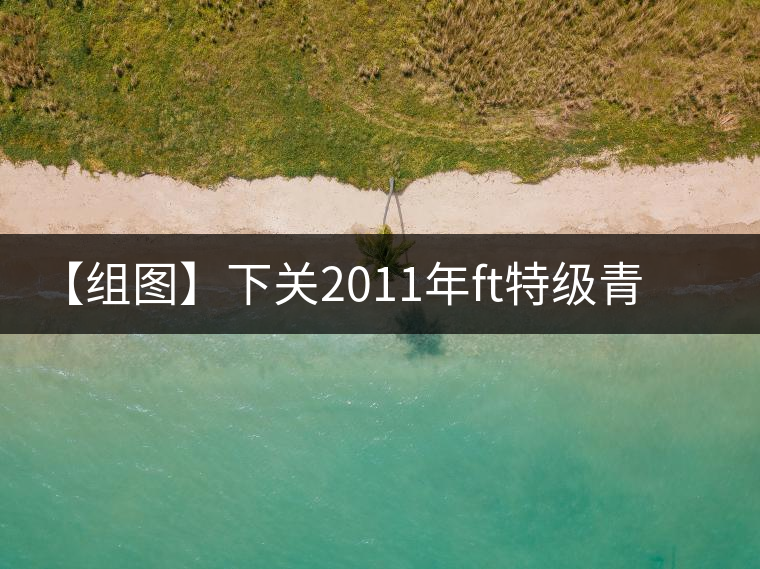 【組圖】下關(guān)2011年ft特級(jí)青餅開湯 【組圖】下關(guān)2011年ft特級(jí)青餅開湯