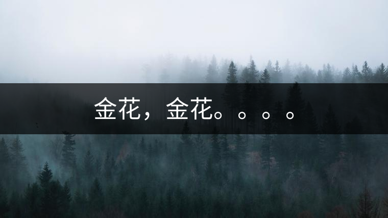 金花，金花。。。。