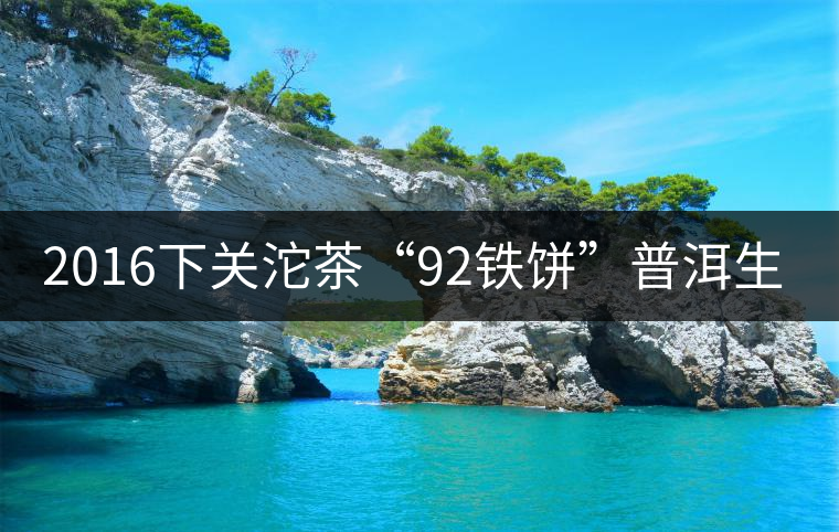 2016下關(guān)沱茶“92鐵餅”普洱生茶