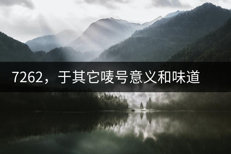 7262，于其它嘜號意義和味道都不一樣的大益高等級熟餅