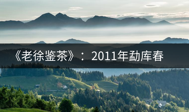 《老徐鑒茶》：2011年勐庫春茶品鑒報(bào)告