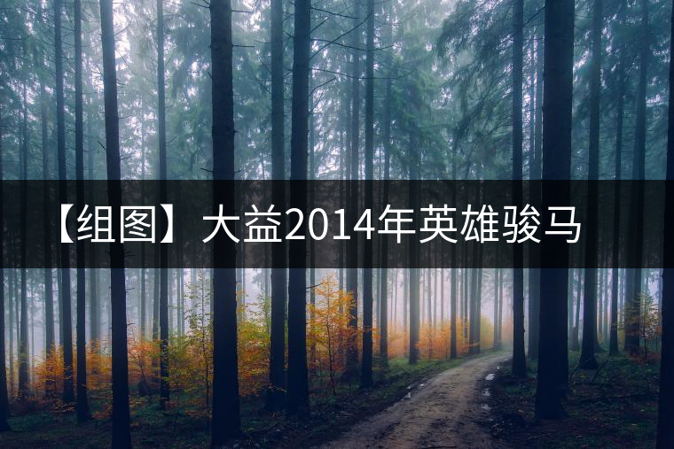 【組圖】大益2014年英雄駿馬生肖餅開湯 【組圖】大益2014年英雄駿馬生肖餅開湯