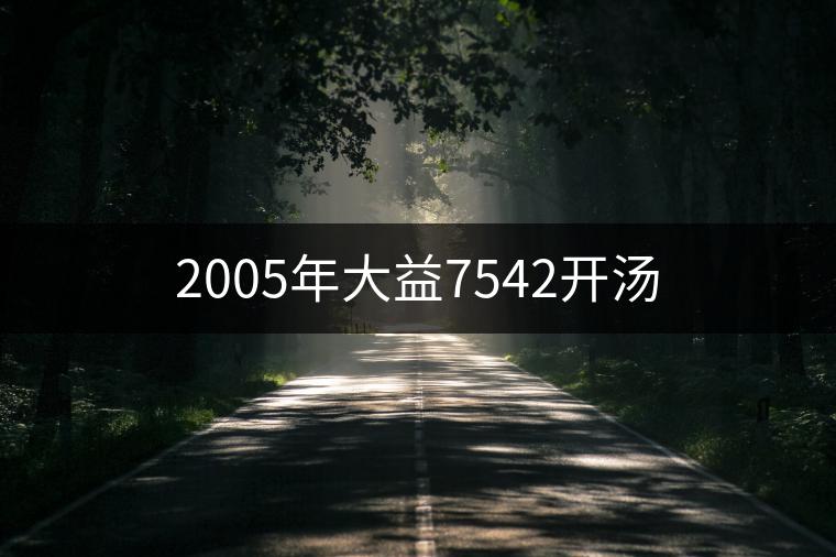 2005年大益7542開湯
