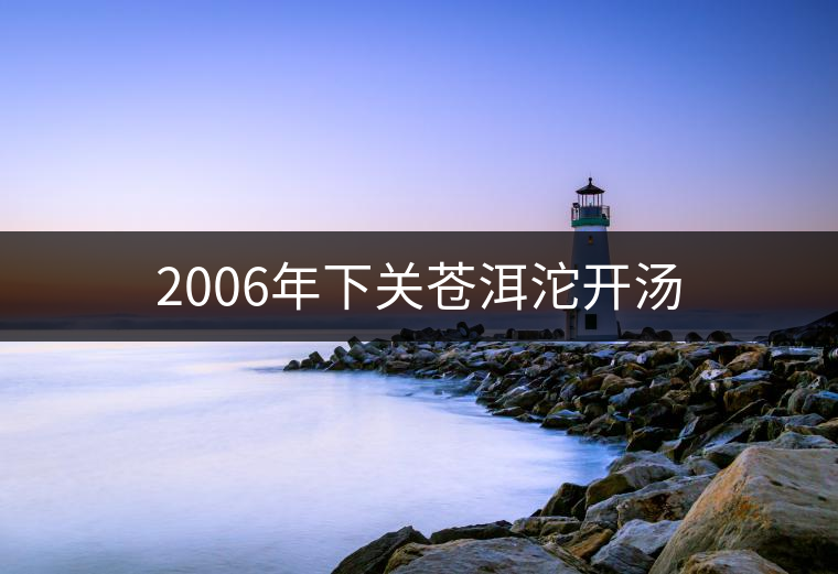 2006年下關(guān)蒼洱沱開湯