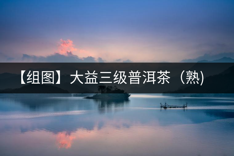 【組圖】大益三級普洱茶（熟)開湯