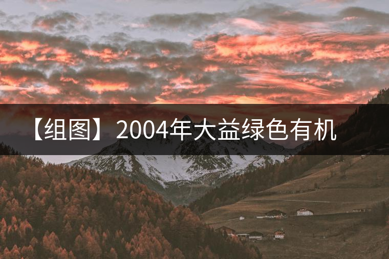 【組圖】2004年大益綠色有機(jī)方茶開湯 【組圖】2004年大益綠色有機(jī)方茶開湯