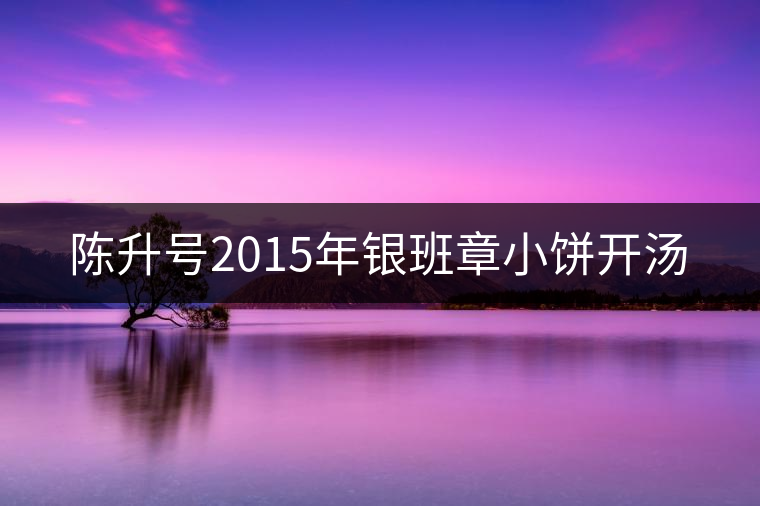 陳升號(hào)2015年銀班章小餅開湯 陳升號(hào)2015年銀班章小餅開湯