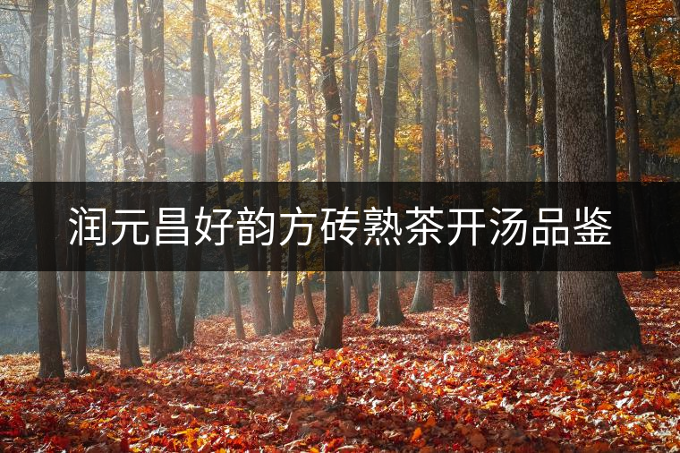 潤(rùn)元昌好韻方磚熟茶開湯品鑒 潤(rùn)元昌好韻方磚熟茶開湯品鑒