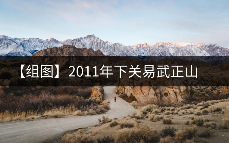 【組圖】2011年下關(guān)易武正山老樹(shù)沱茶開(kāi)湯