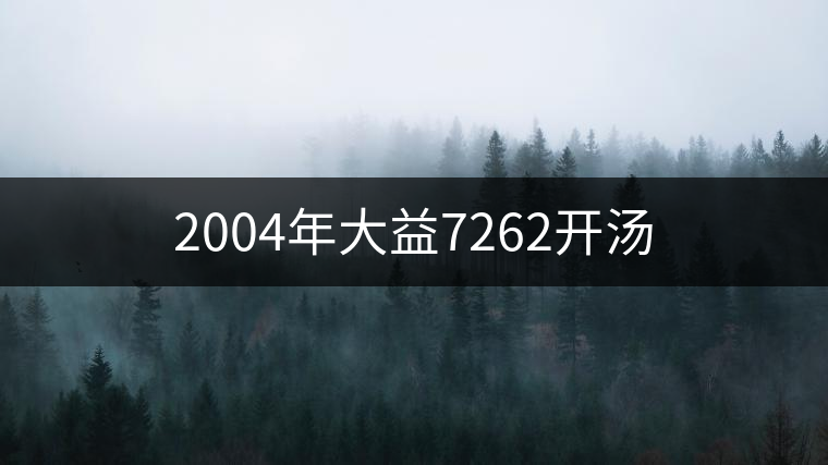 2004年大益7262開湯 2004年大益7262開湯