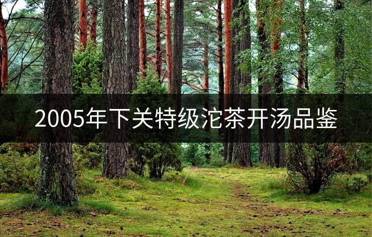 2005年下關(guān)特級(jí)沱茶開湯品鑒