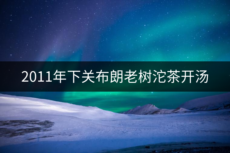 2011年下關(guān)布朗老樹沱茶開湯