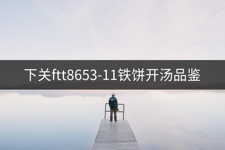 下關ftt8653-11鐵餅開湯品鑒 下關ftt8653-11鐵餅開湯品鑒