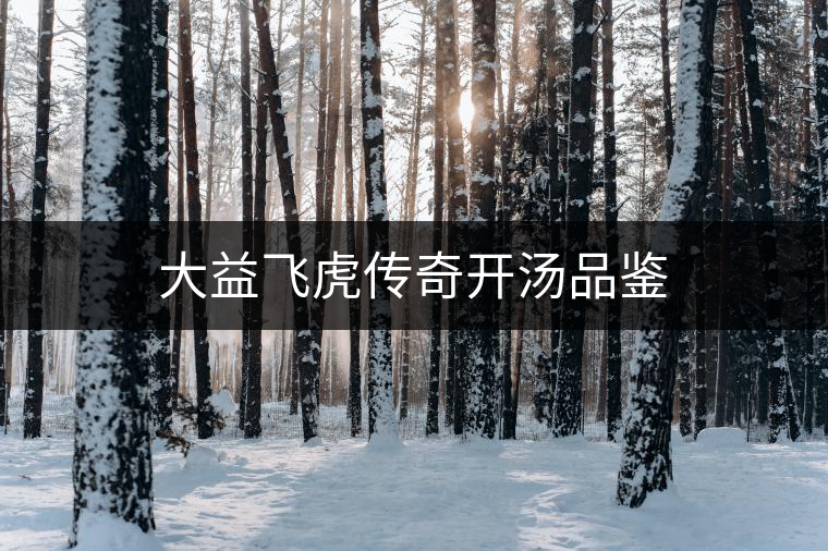 大益飛虎傳奇開(kāi)湯品鑒