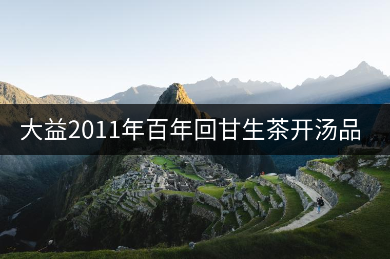 大益2011年百年回甘生茶開湯品鑒 大益2011年百年回甘生茶開湯品鑒