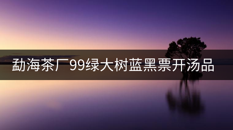 勐海茶廠99綠大樹(shù)藍(lán)黑票開(kāi)湯品鑒