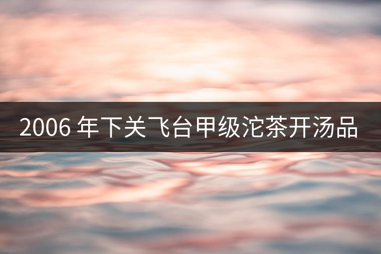 2006 年下關(guān)飛臺(tái)甲級沱茶開湯品鑒