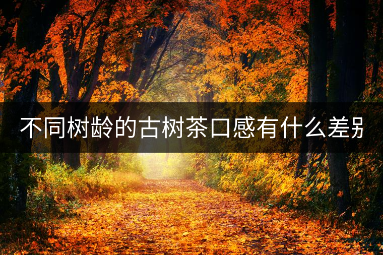 不同樹(shù)齡的古樹(shù)茶口感有什么差別？