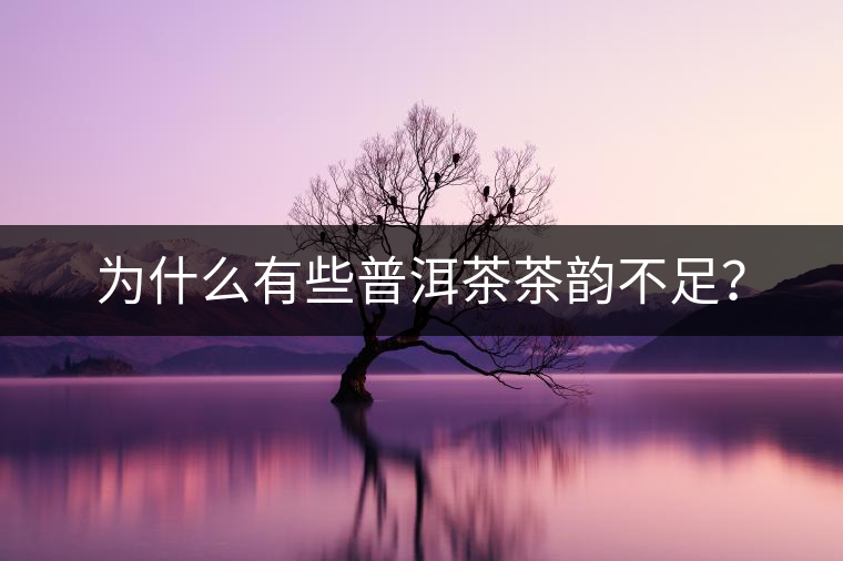 為什么有些普洱茶茶韻不足？