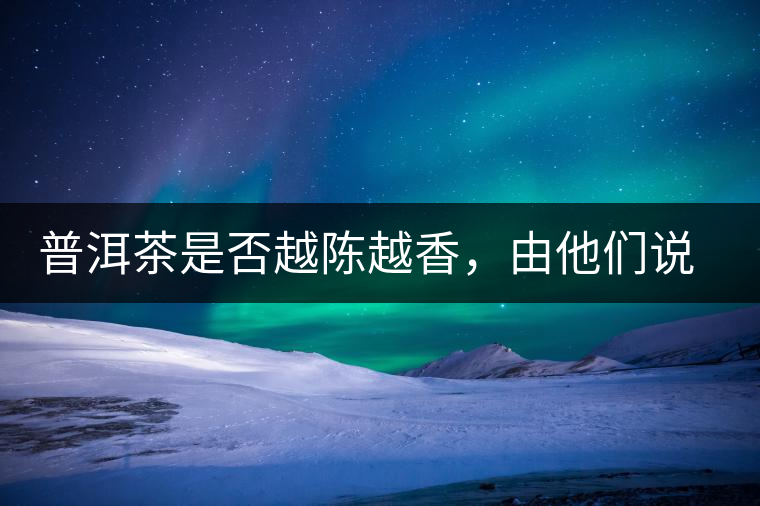 普洱茶是否越陳越香，由他們說了算