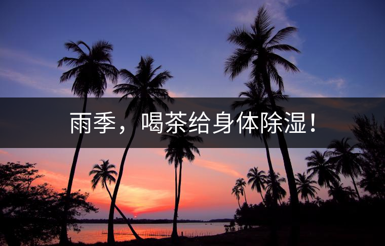 雨季，喝茶給身體除濕！