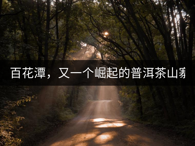 百花潭，又一個(gè)崛起的普洱茶山寨！