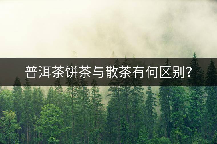 普洱茶餅茶與散茶有何區(qū)別？