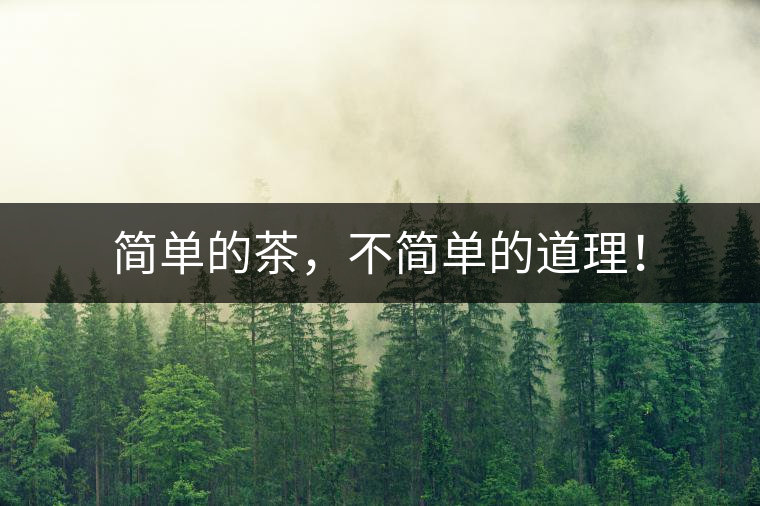 簡單的茶，不簡單的道理！