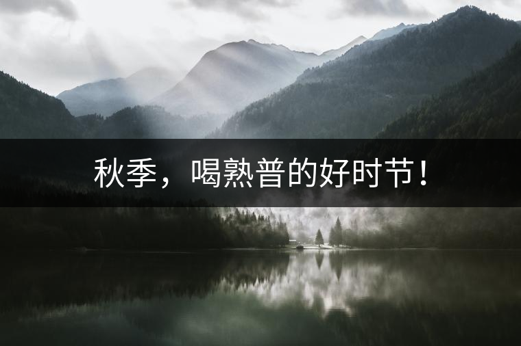 秋季，喝熟普的好時(shí)節(jié)！