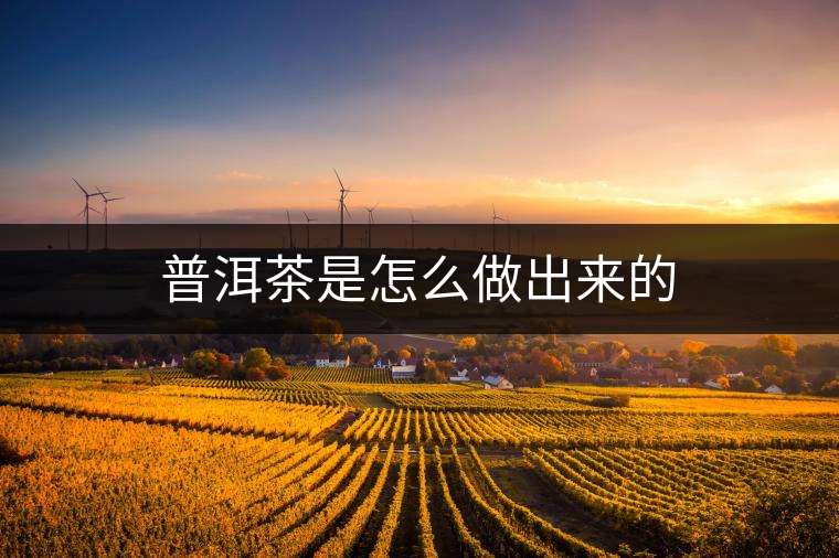 普洱茶是怎么做出來(lái)的