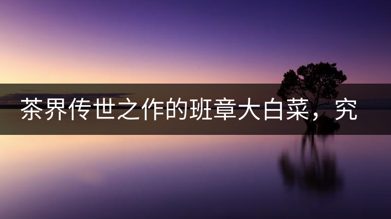 茶界傳世之作的班章大白菜，究竟有什么大來頭？
