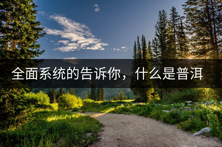 全面系統(tǒng)的告訴你，什么是普洱茶