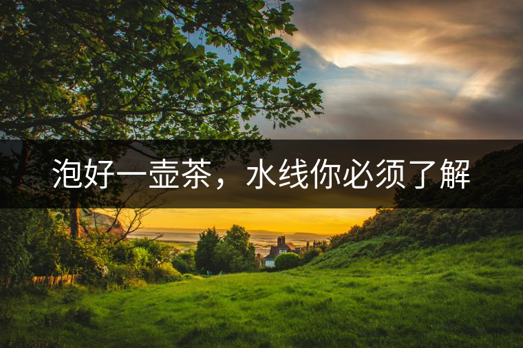 泡好一壺茶，水線你必須了解