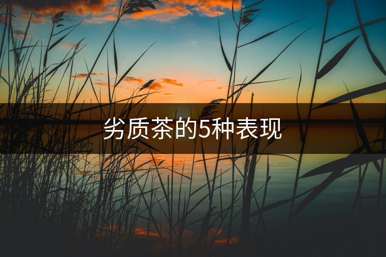 劣質(zhì)茶的5種表現(xiàn)