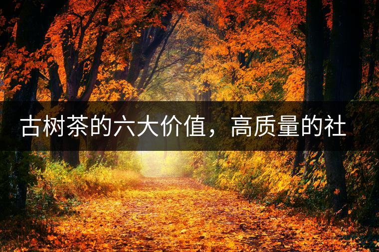 古樹茶的六大價(jià)值，高質(zhì)量的社交都離不開古樹茶