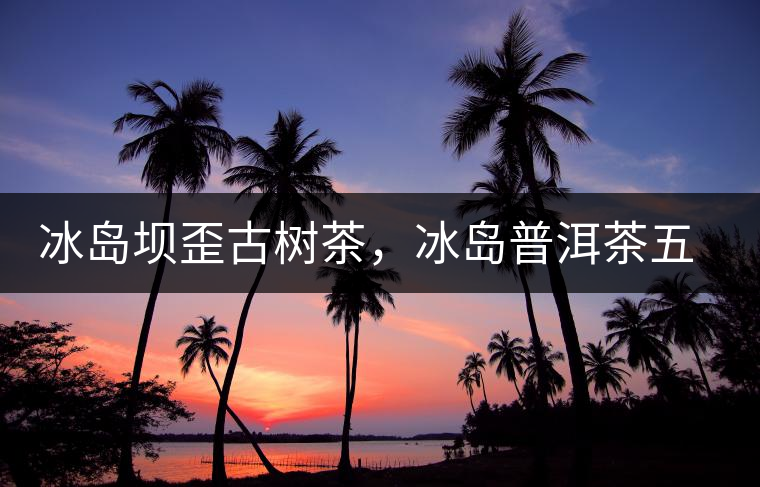 冰島壩歪古樹茶，冰島普洱茶五寨之一