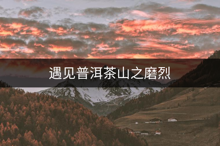 遇見普洱茶山之磨烈